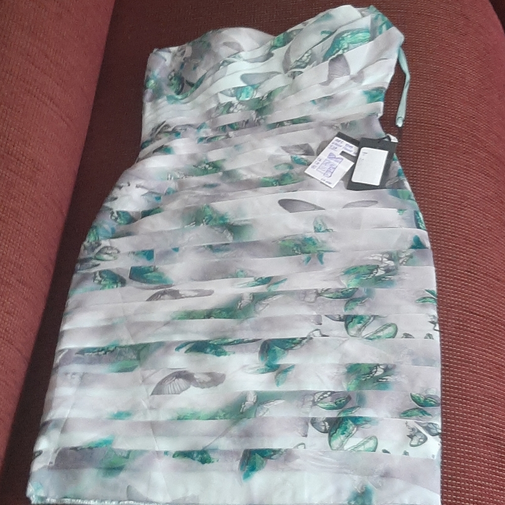 Green dress with butterflies design with shawl